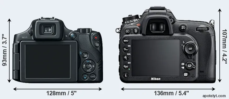 Comparison SX60 or D7100 rear