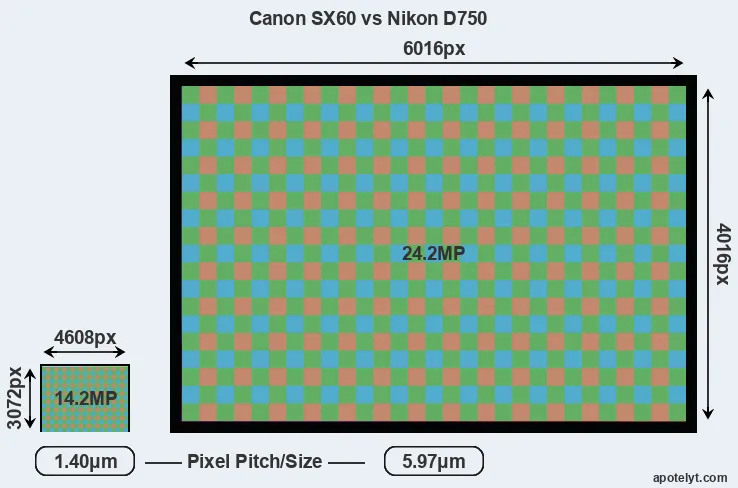 SX60 versus D750 MP