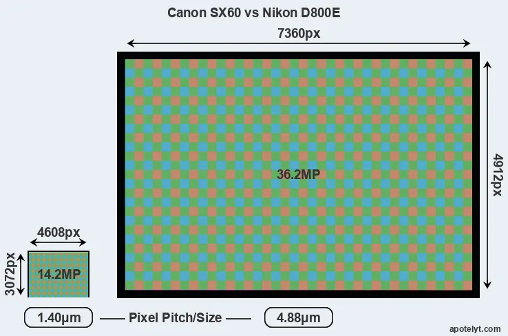 SX60 versus D800E MP