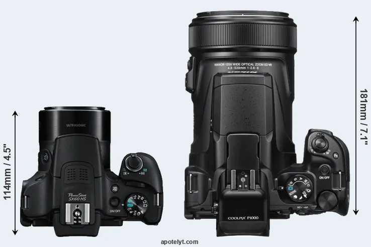 Compare SX60 versus P1000 top