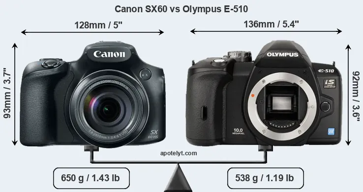 Size Canon SX60 vs Olympus E-510