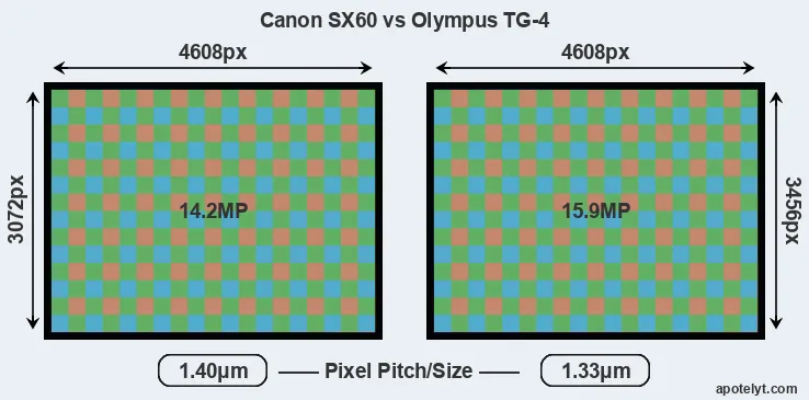 SX60 versus TG-4 MP