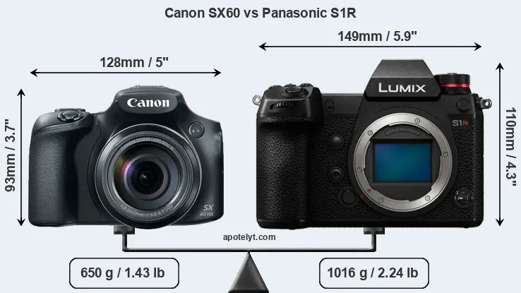 Size Canon SX60 vs Panasonic S1R