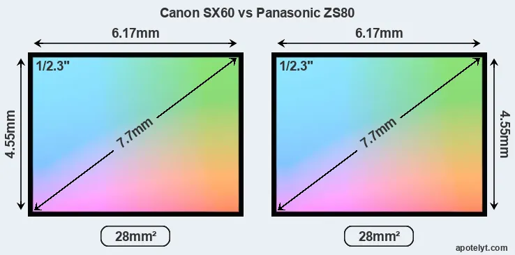 Canon SX60 and Panasonic ZS80 sensor measures