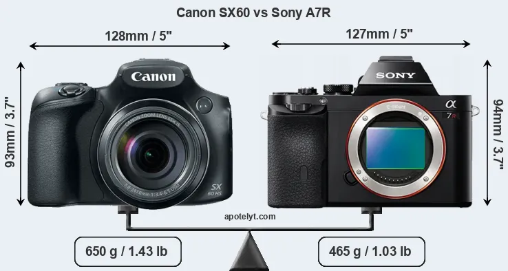 Size Canon SX60 vs Sony A7R