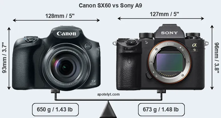 Size Canon SX60 vs Sony A9