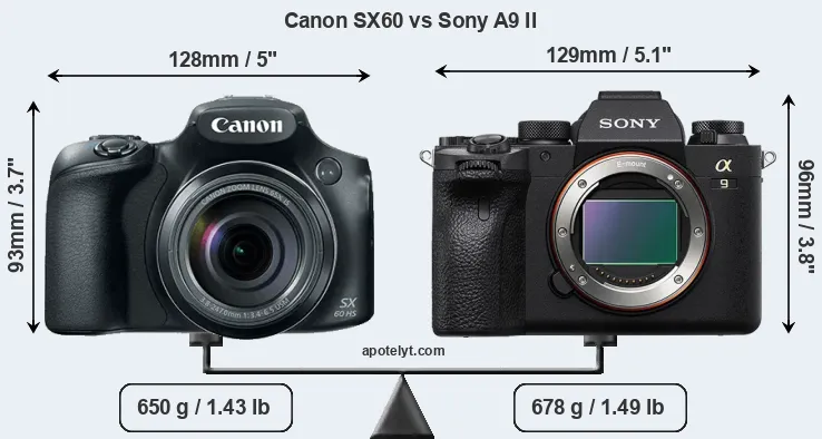 Size Canon SX60 vs Sony A9 II