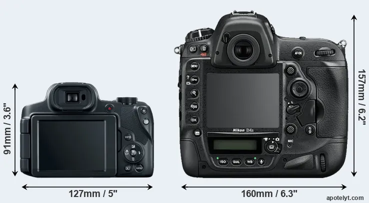 Comparison SX70 or D4S rear