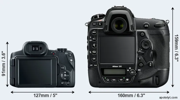 Comparison SX70 or D5 rear