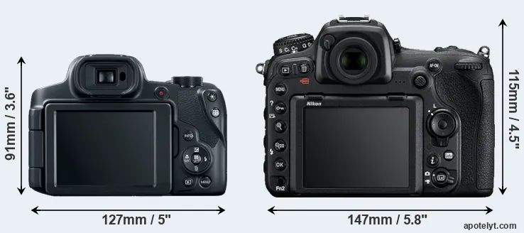 Comparison SX70 or D500 rear