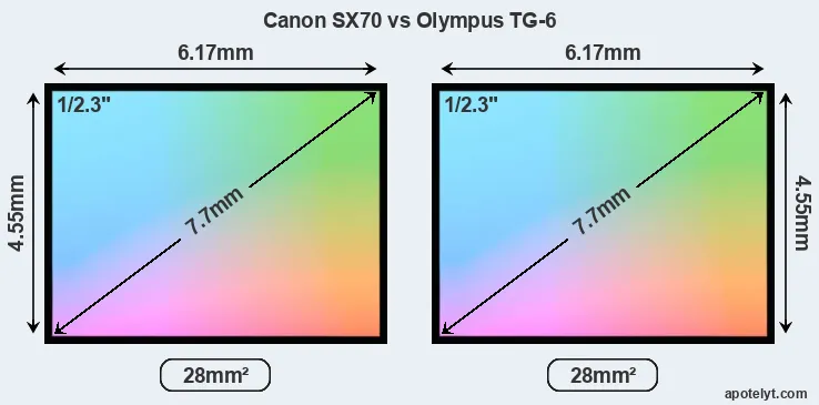 Canon SX70 and Olympus TG-6 sensor measures