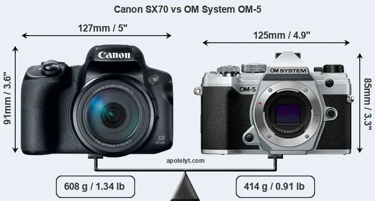 Size Canon SX70 vs OM System OM-5