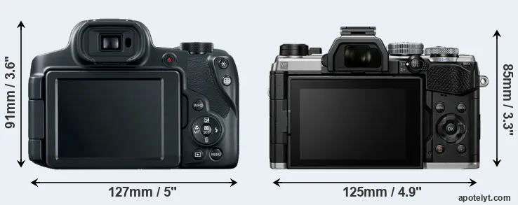 Comparison SX70 or OM-5 rear