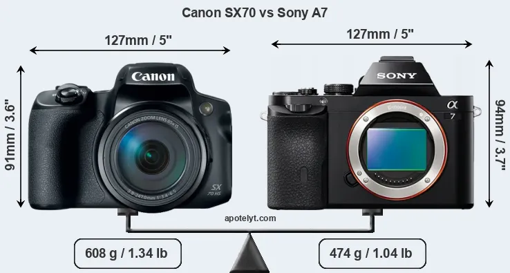 Size Canon SX70 vs Sony A7