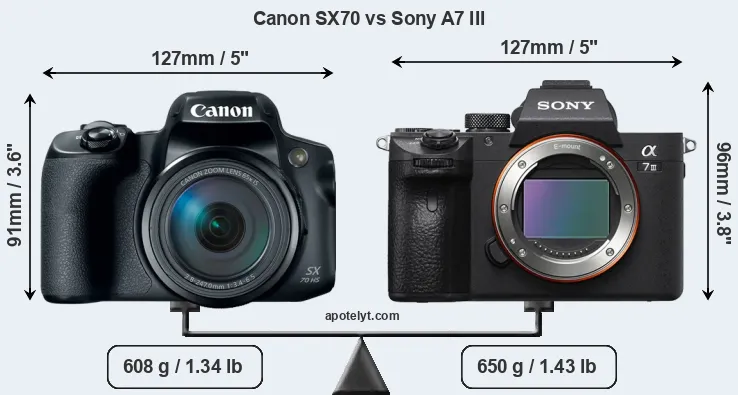 Size Canon SX70 vs Sony A7 III