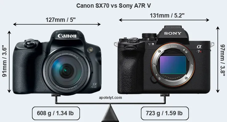 Size Canon SX70 vs Sony A7R V