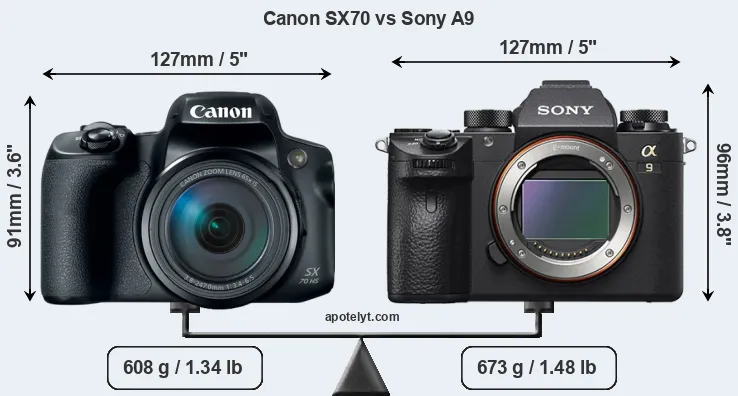Size Canon SX70 vs Sony A9