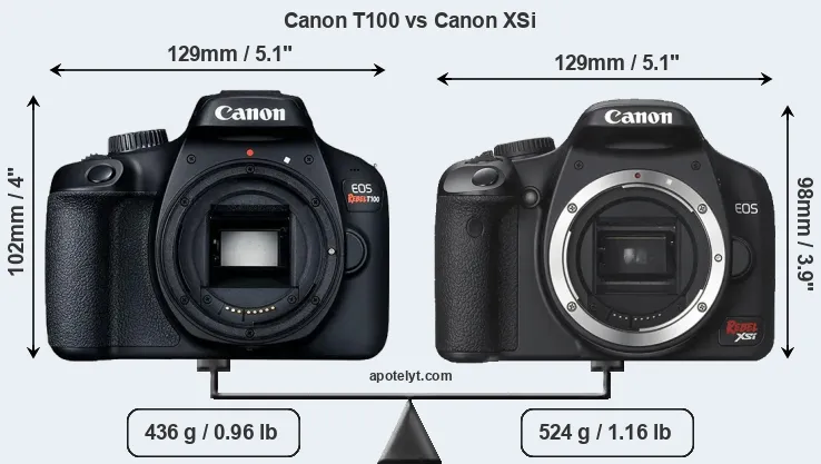 Size Canon T100 vs Canon XSi