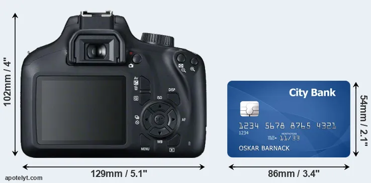 T100 and credit card rear side