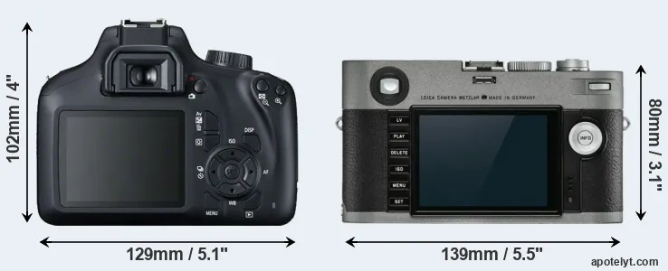Comparison T100 or M-E Typ 240 rear