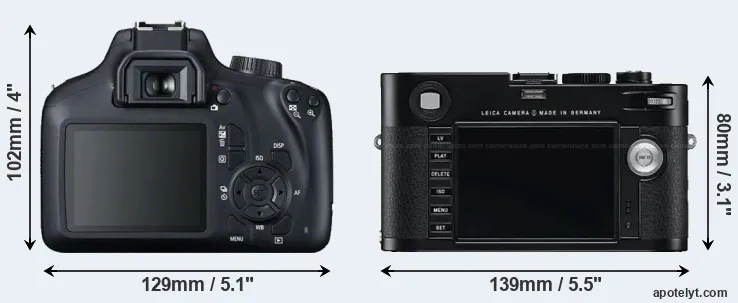 Comparison T100 or M Typ 240 rear