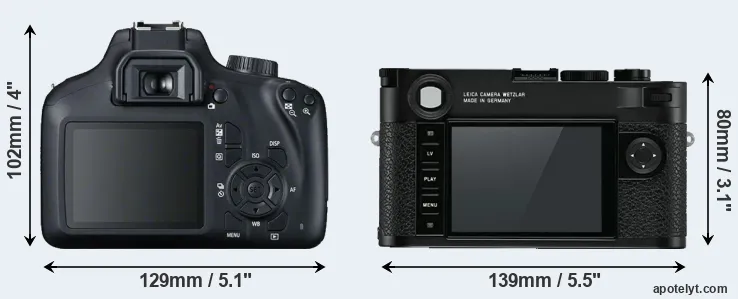 Comparison T100 or M10 rear