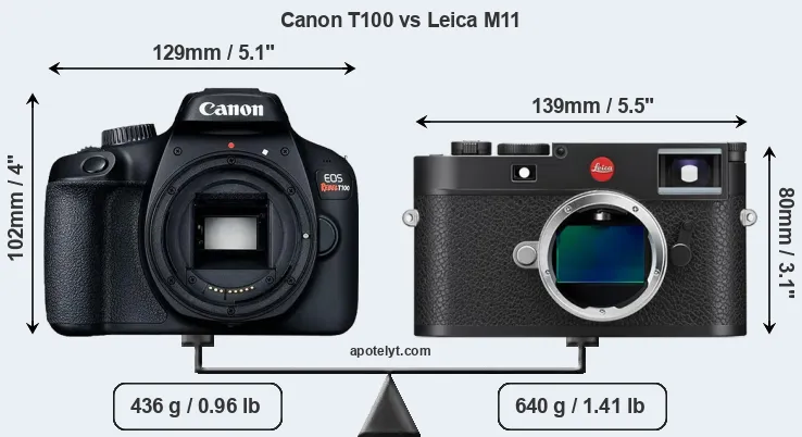 Size Canon T100 vs Leica M11