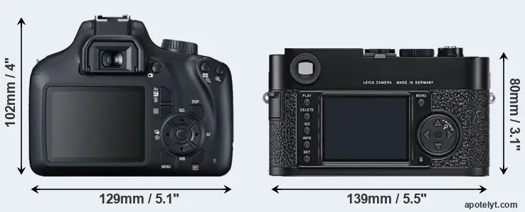 Comparison T100 or M9 rear