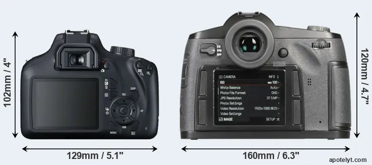 Comparison T100 or S-E Typ 006 rear
