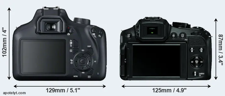 Comparison T100 or V-LUX 4 rear