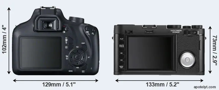 Comparison T100 or X Vario rear