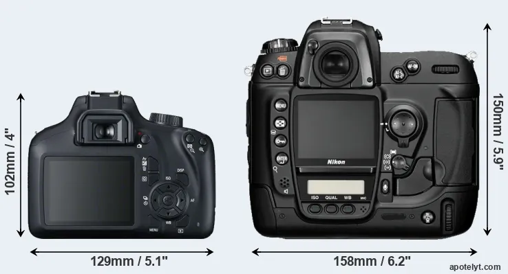 Comparison T100 or D2H rear