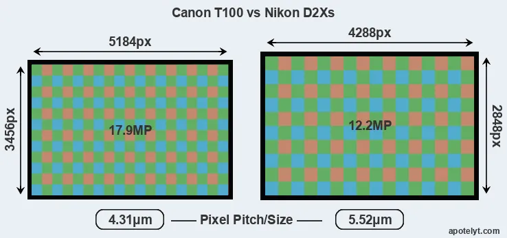 T100 versus D2Xs MP
