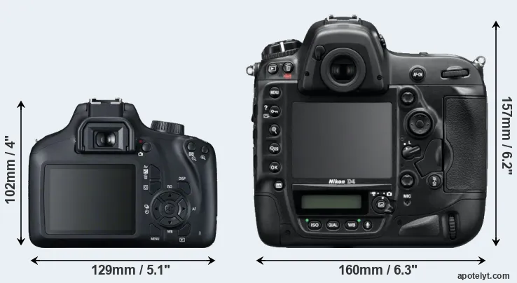 Comparison T100 or D4 rear