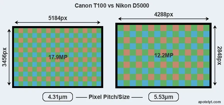 T100 versus D5000 MP