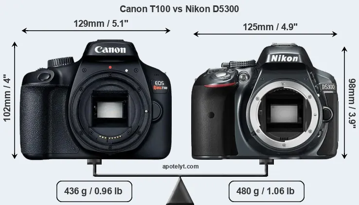 Size Canon T100 vs Nikon D5300