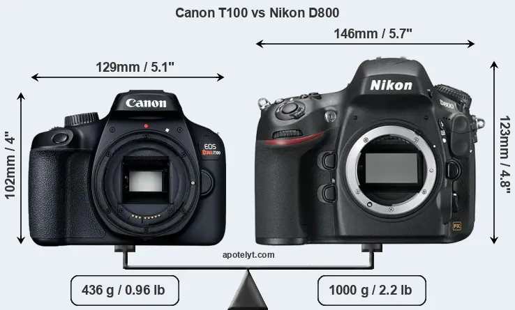Size Canon T100 vs Nikon D800