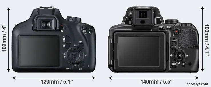 Comparison T100 or P900 rear
