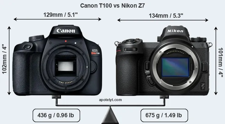Size Canon T100 vs Nikon Z7