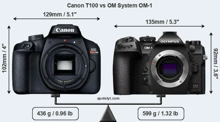 Size Canon T100 vs OM System OM-1
