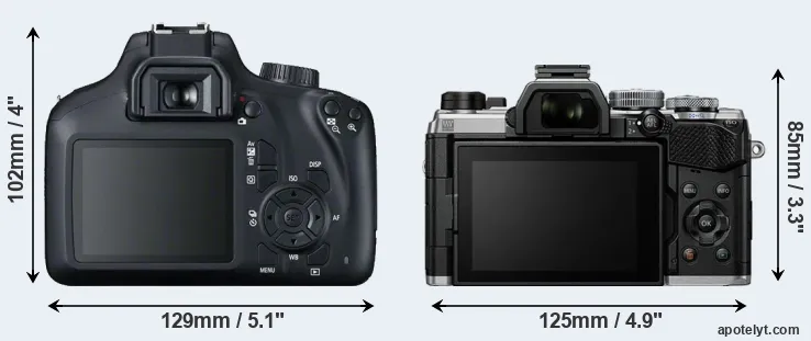 Comparison T100 or OM-5 rear