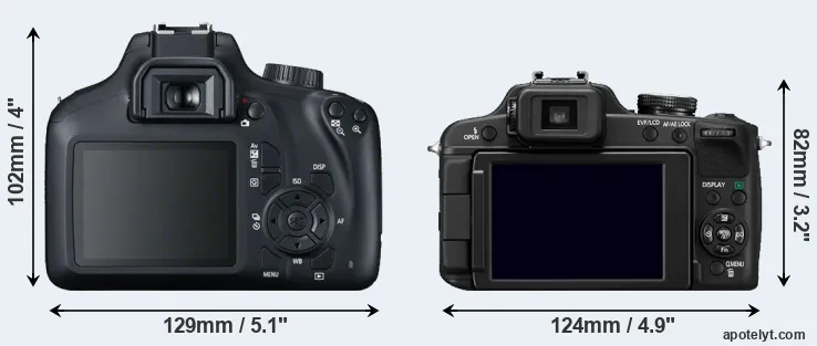 Comparison T100 or FZ100 rear