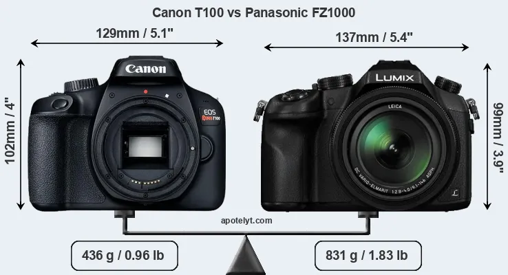 Size Canon T100 vs Panasonic FZ1000