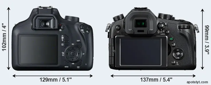 Comparison T100 or FZ1000 rear