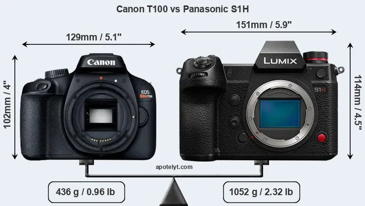 Size Canon T100 vs Panasonic S1H
