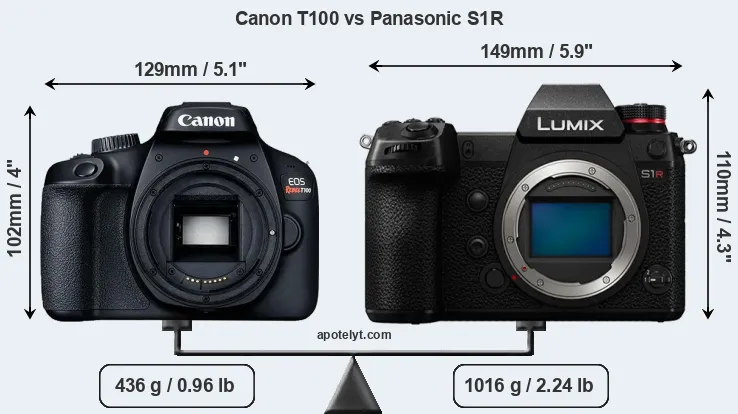 Size Canon T100 vs Panasonic S1R