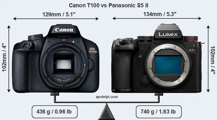 Size Canon T100 vs Panasonic S5 II