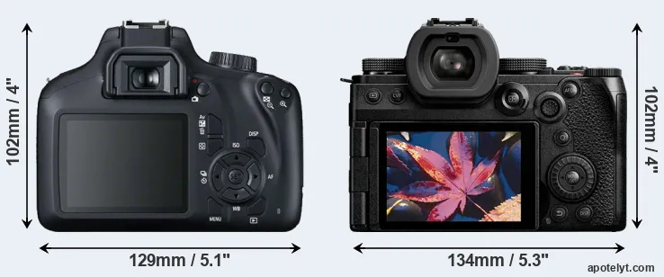 Comparison T100 or S5 II rear