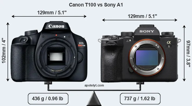 Size Canon T100 vs Sony A1