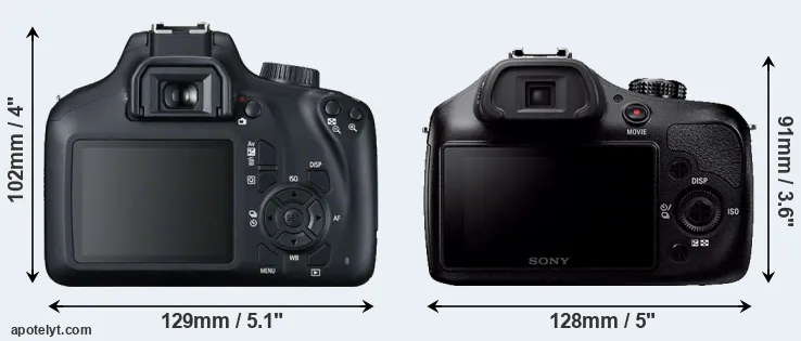Comparison T100 or A3000 rear
